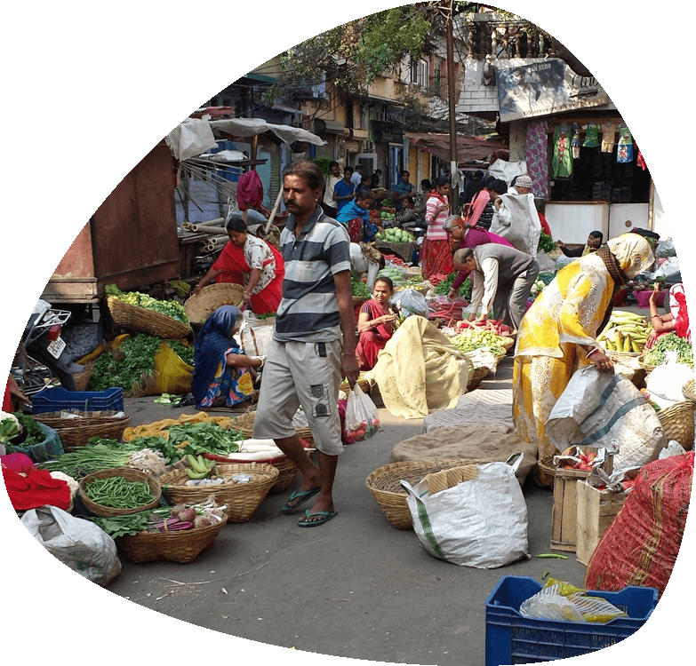 udaipur old market