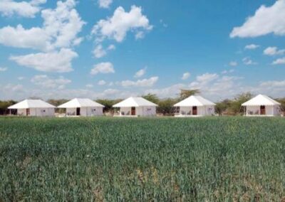 Bera_Leopard_Camp_gallery_(5)