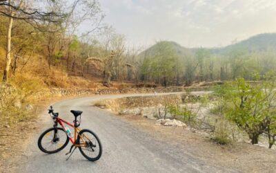 Cycling in Udaipur