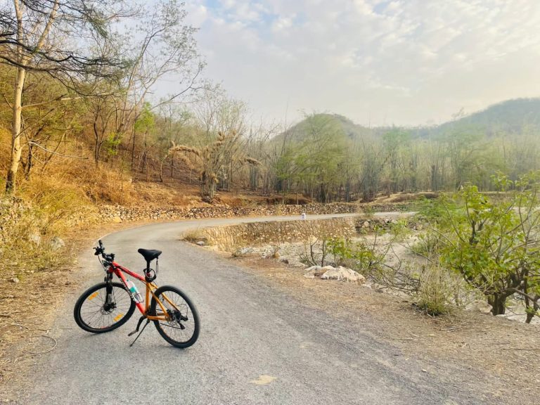 Cycling in Udaipur